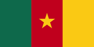 drapeau officiel du Cameroun